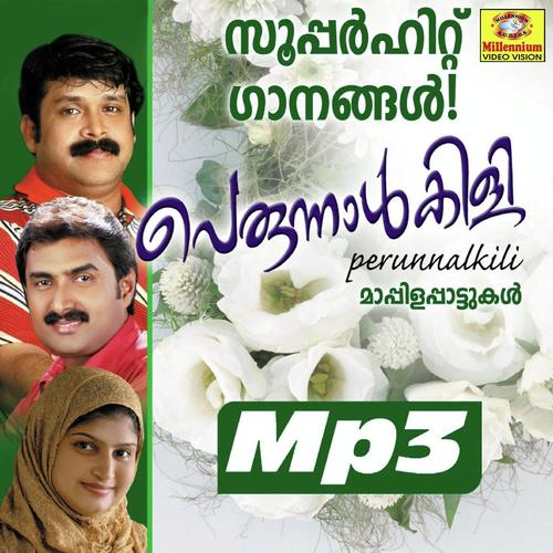 Perunnalkili 2007