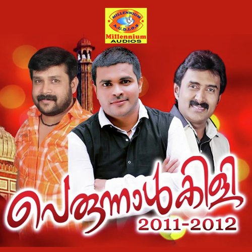Perunnalkili 2011-2012