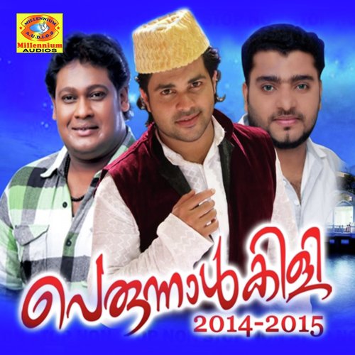 Perunnalkili 2014-15