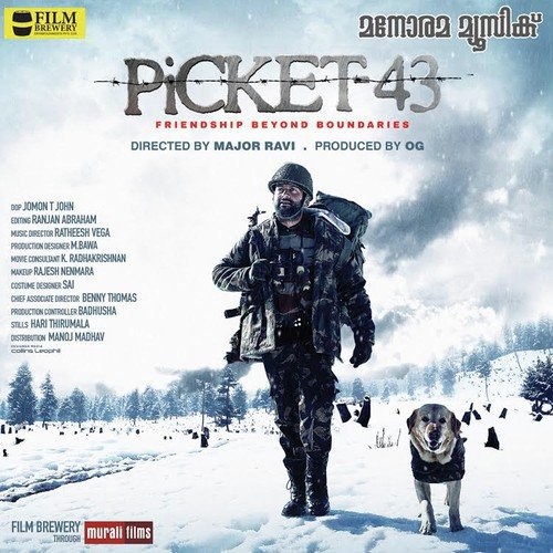 Picket 43