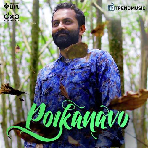 Poikanavu