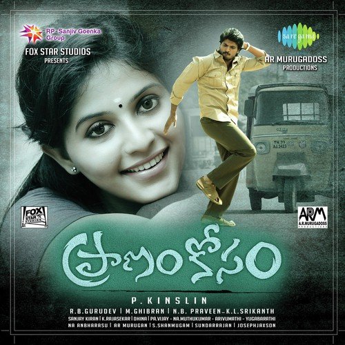 Praanam Kosam