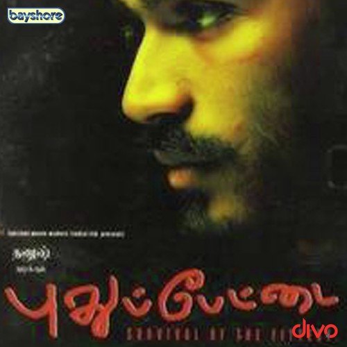 Pudhupettai