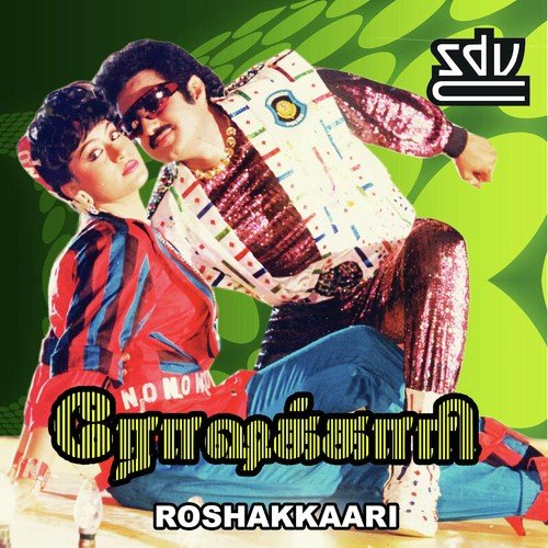 Roshakkaari