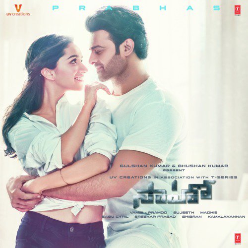 Ye Chota Nuvvunna (Feat. Tulsi Kumar, Haricharan Seshadri)