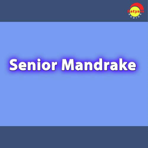 Senior Mandrake