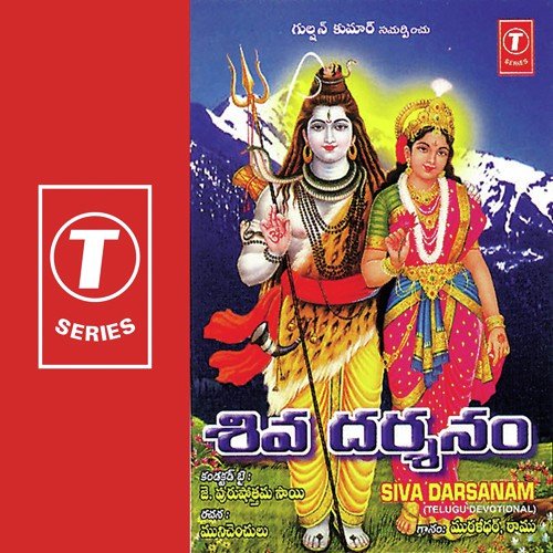 Siva Darsanam
