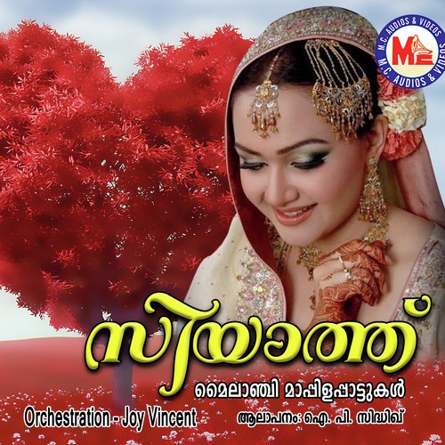 Siyaathu