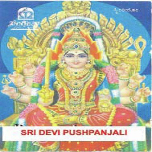 Bhavayami