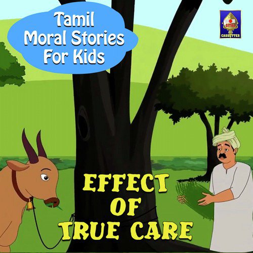 Effect Of True Care