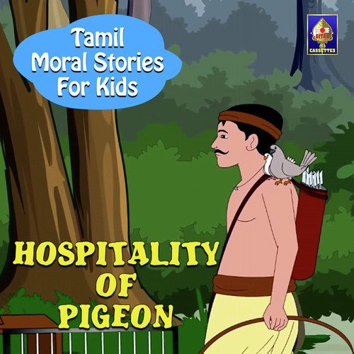Hospitality Of Pigeon