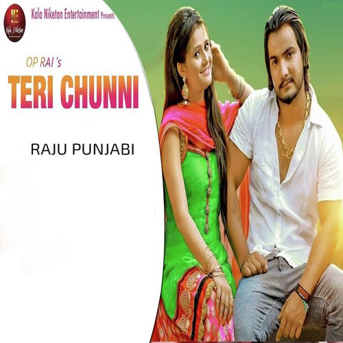 Teri Chunni