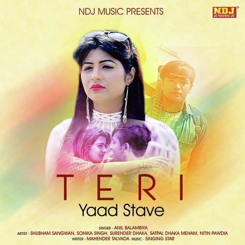 Teri Yaad Stave