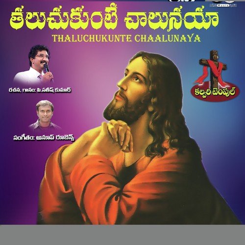 Thaluchukunte Chaalunaya