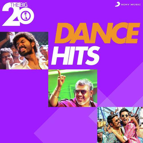 The Big 20 (Dance Hits)
