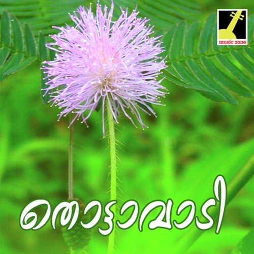 Thottavadi