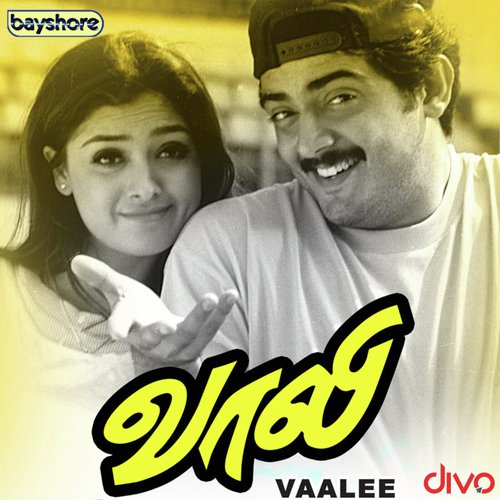 Vaali