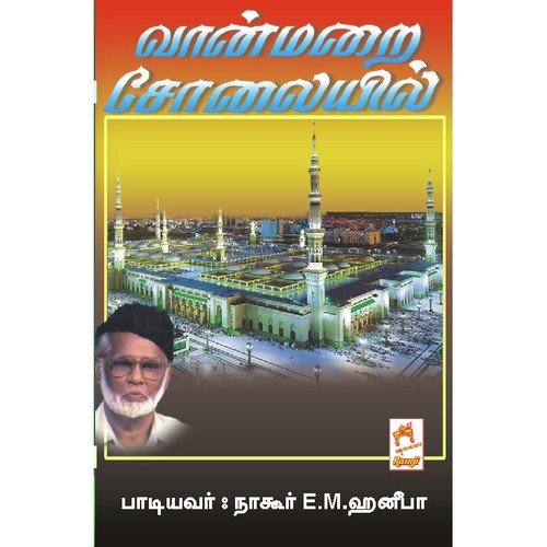 Vanmarai Cholaiyil