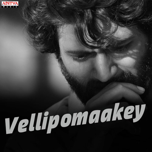 Vellipomaakey