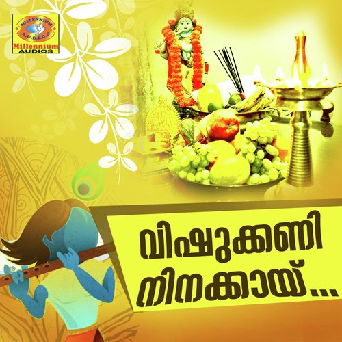 Vishu Kani Ninakai