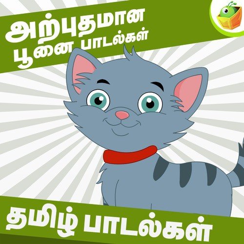 Wonderful Cat Rhymes