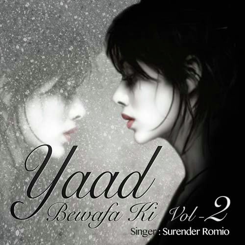Yaad Bewafa Ki Vol. 2
