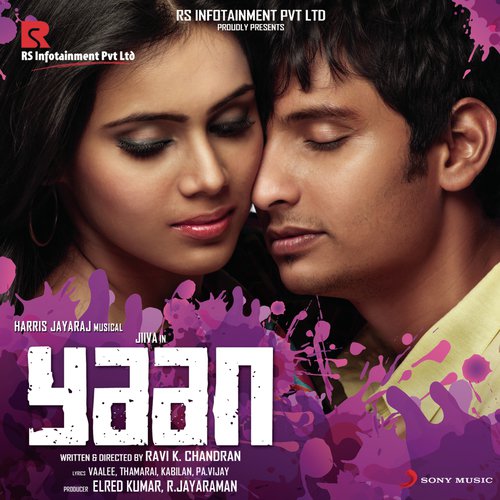 Yaan